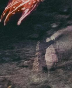 Keen Women's Jasper Rocks Sneaker X Hiking Patrol | Cuban Beige 18 Keen Women's Jasper Rocks Sneaker X Hiking Patrol | Cuban Beige -Keen KEEN W 1028832 HikingPatrolxJasperRocks Lifestyle PDP Single Left